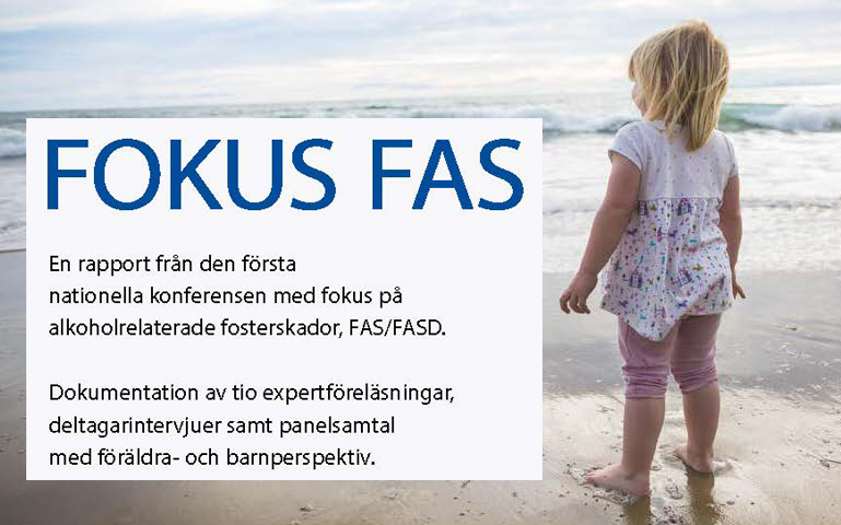 Rapport Fokusfas1